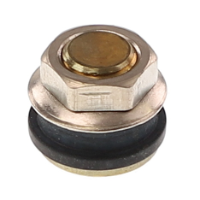 AGCO PLUG 539651M1 Parts - True Ag & Turf