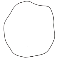 AGCO GASKET 3907247M1 Parts - True Ag & Turf