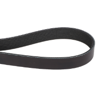 AGCO Engine Drive Belt, Ribbed, 1663.7 mm 700708547 Parts - True Ag & Turf