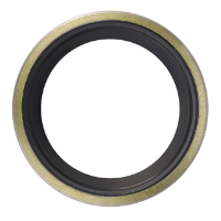 AGCO SCRAPER RING 3010107X1 Parts - True Ag & Turf