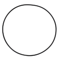 AGCO O-RING 72376657 Parts - True Ag & Turf