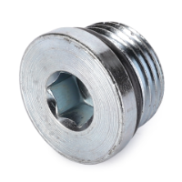 AGCO HEX SOCKET HEAD PLUG CH148-8395 Parts - True Ag & Turf