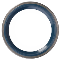 AGCO SHAFT SEAL 72315916 Parts - True Ag & Turf