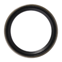 AGCO Oil Seal, Transmission 1860867M5 Parts - True Ag & Turf