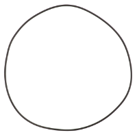 AGCO O-RING AG051213 Parts - True Ag & Turf