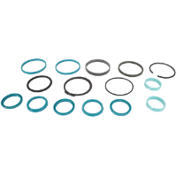 AGCO SEAL SET HYDRAULIC CYLINDER 72470522 Parts - True Ag & Turf