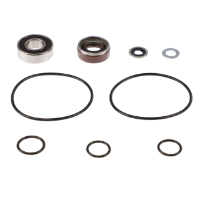 AGCO Seal Kit ACW3731660 Parts - True Ag & Turf