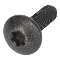 AGCO TORX HEAD SCREW CH9X-2045 Parts - True Ag & Turf