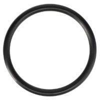 AGCO O-Ring 3704952M1 Parts - True Ag & Turf