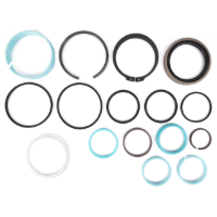 AGCO Seal Kit, Hydraulic Lift Cylinder 72312375 Parts - True Ag & Turf
