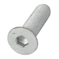 AGCO FLAT SOCKET HEAD CAPSCREW ACX2954820 Parts - True Ag & Turf