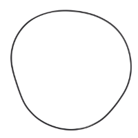 AGCO O-RING V31791300 Parts - True Ag & Turf