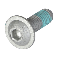 AGCO TORX HEAD SCREW ACW6176160 Parts - True Ag & Turf