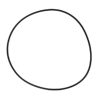 AGCO O-RING 72252571 Parts - True Ag & Turf