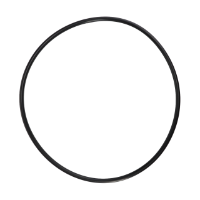 AGCO O-RING 1896214M2 Parts - True Ag & Turf