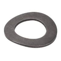 AGCO SPRING WASHER 72655871 Parts - True Ag & Turf
