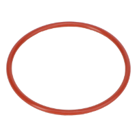AGCO O-RING V614605125 Parts - True Ag & Turf