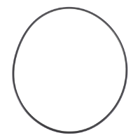 AGCO O-RING 3009855X1 Parts - True Ag & Turf