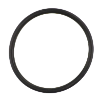 AGCO O-RING E231175 Parts - True Ag & Turf
