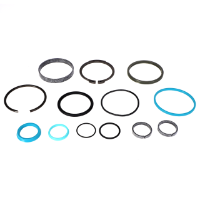 AGCO SEAL KIT 72493044 Parts - True Ag & Turf