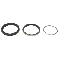 AGCO Seal Kit 7039894 Parts - True Ag & Turf