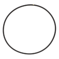AGCO O-RING 4226268M1 Parts - True Ag & Turf