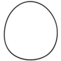 AGCO O-RING 71359925 Parts - True Ag & Turf