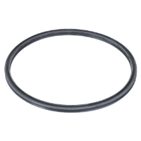AGCO RING 3176203M1 Parts - True Ag & Turf