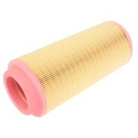 AGCO ELEMENT 055119R1 Parts - True Ag & Turf