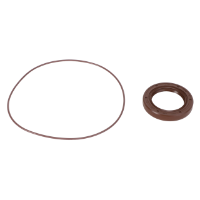 AGCO SEAL KIT 544067D1 Parts - True Ag & Turf