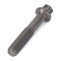 AGCO TORX SCREW 72452175 Parts - True Ag & Turf