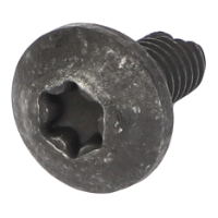 AGCO TORX HEAD SCREW CH9X-2043 Parts - True Ag & Turf