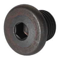 AGCO PLUG 3607567M1 Parts - True Ag & Turf
