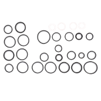 AGCO SEAL SET V39639000 Parts - True Ag & Turf