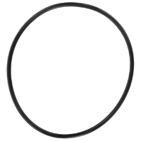 AGCO O-RING 4227069M1 Parts - True Ag & Turf