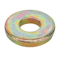 AGCO THRUST WASHER 3787069M1 Parts - True Ag & Turf