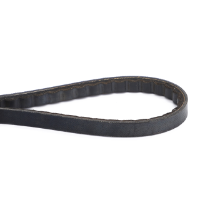 AGCO BELT 6665499 Parts - True Ag & Turf