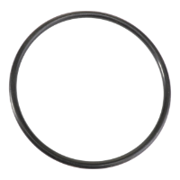 AGCO O-RING 70923834 Parts - True Ag & Turf