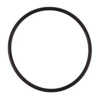 AGCO O-RING 6253051M1 Parts - True Ag & Turf