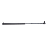 AGCO Gas Strut, Window VA200487 Parts - True Ag & Turf