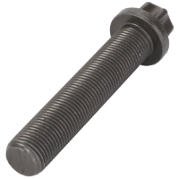 AGCO TORX SCREW 72484463 Parts - True Ag & Turf