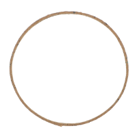 AGCO GASKET 10A6312 Parts - True Ag & Turf