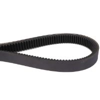 AGCO BELT 79034573V Parts - True Ag & Turf