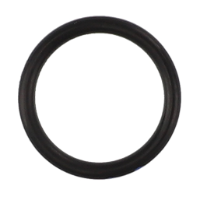 AGCO O-RING 3702465M1 Parts - True Ag & Turf