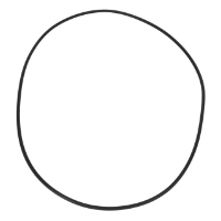 AGCO O-RING AG726337 Parts - True Ag & Turf