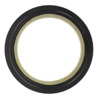 AGCO Oil Seal, Final Drive 4305964M1 Parts - True Ag & Turf