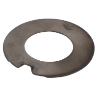 AGCO THRUST WASHER 72330319 Parts - True Ag & Turf