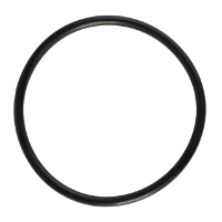 AGCO O-RING 70923688 Parts - True Ag & Turf