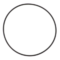 AGCO O-RING FEL200749 Parts - True Ag & Turf