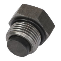 AGCO PLUG 700738154 Parts - True Ag & Turf